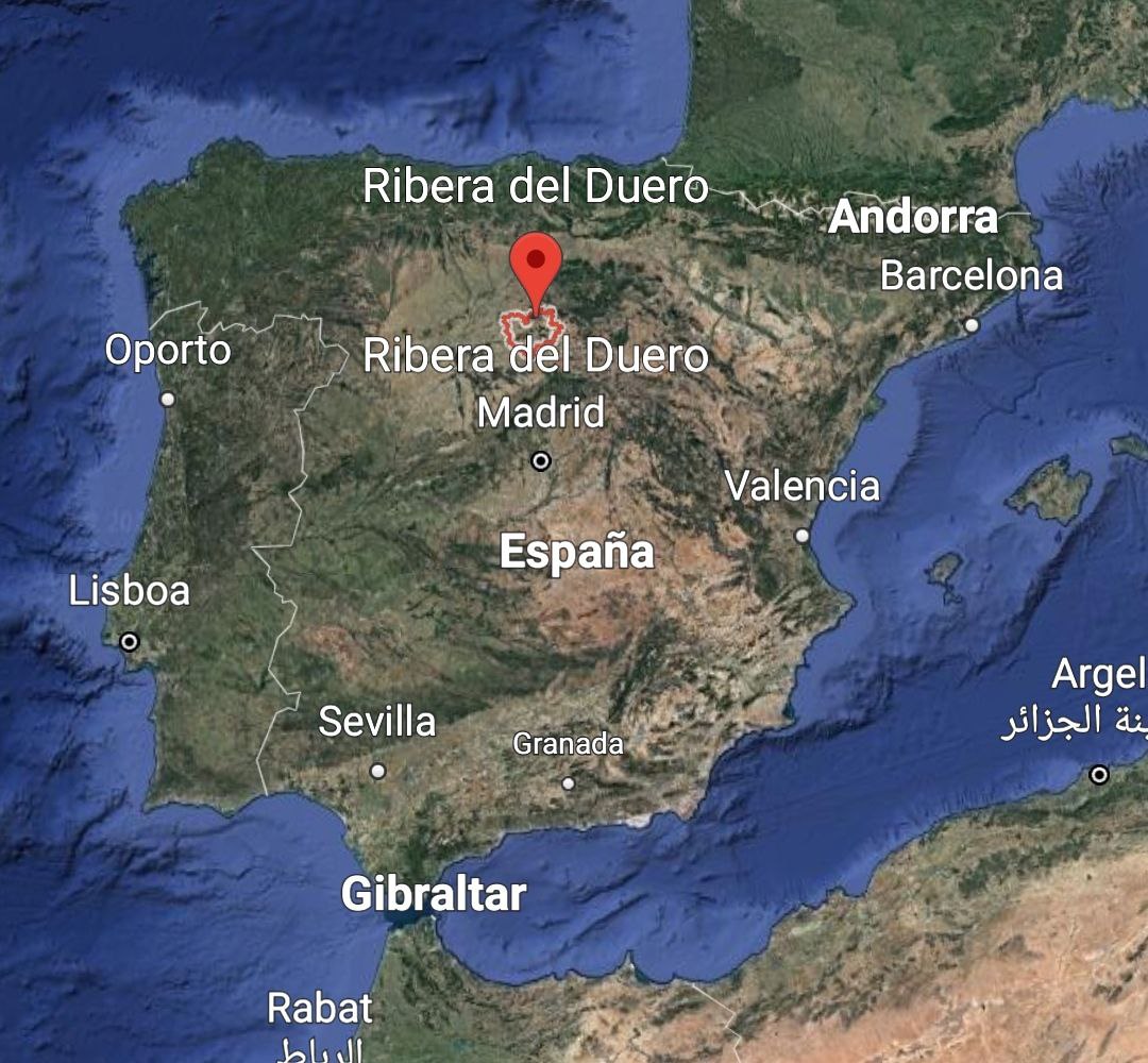 RIBERA DEL DUERO